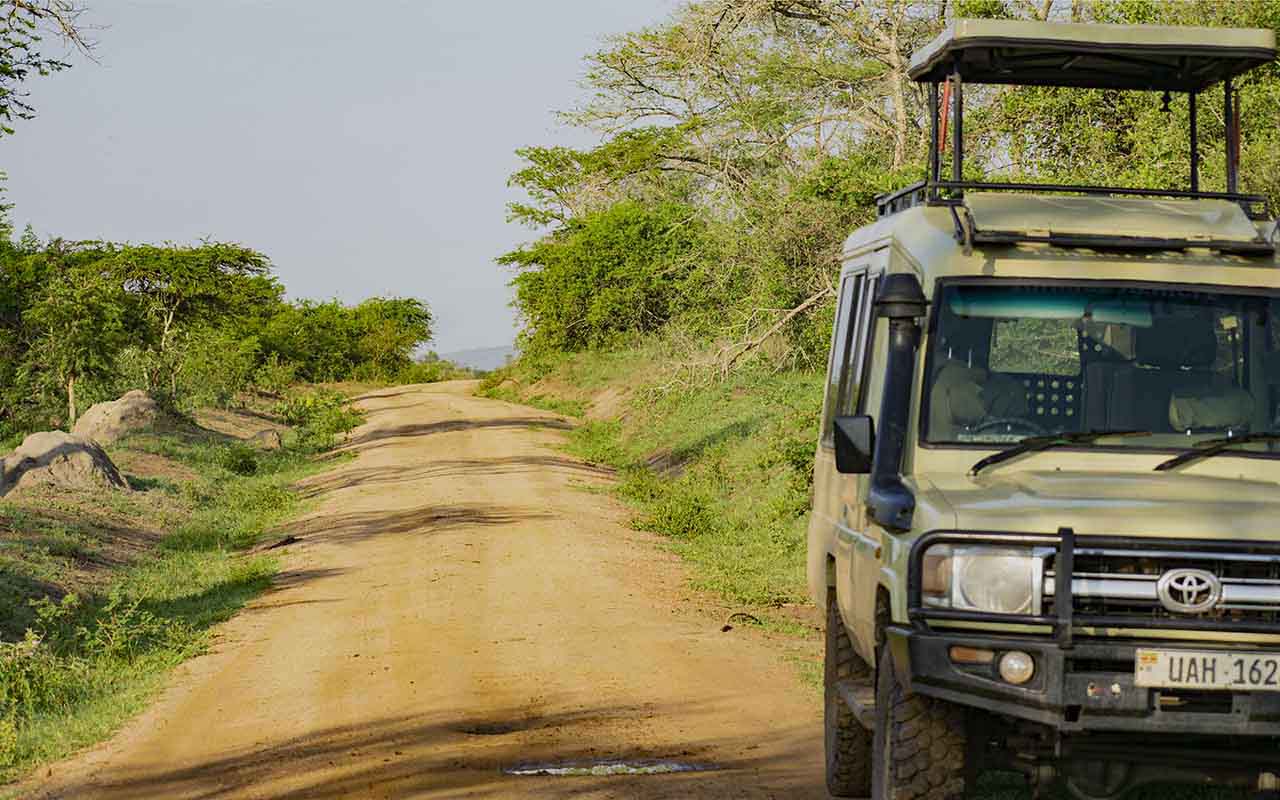 Things to do on a Classic Uganda Safari