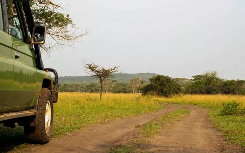 Untamed Uganda Safaris Categories