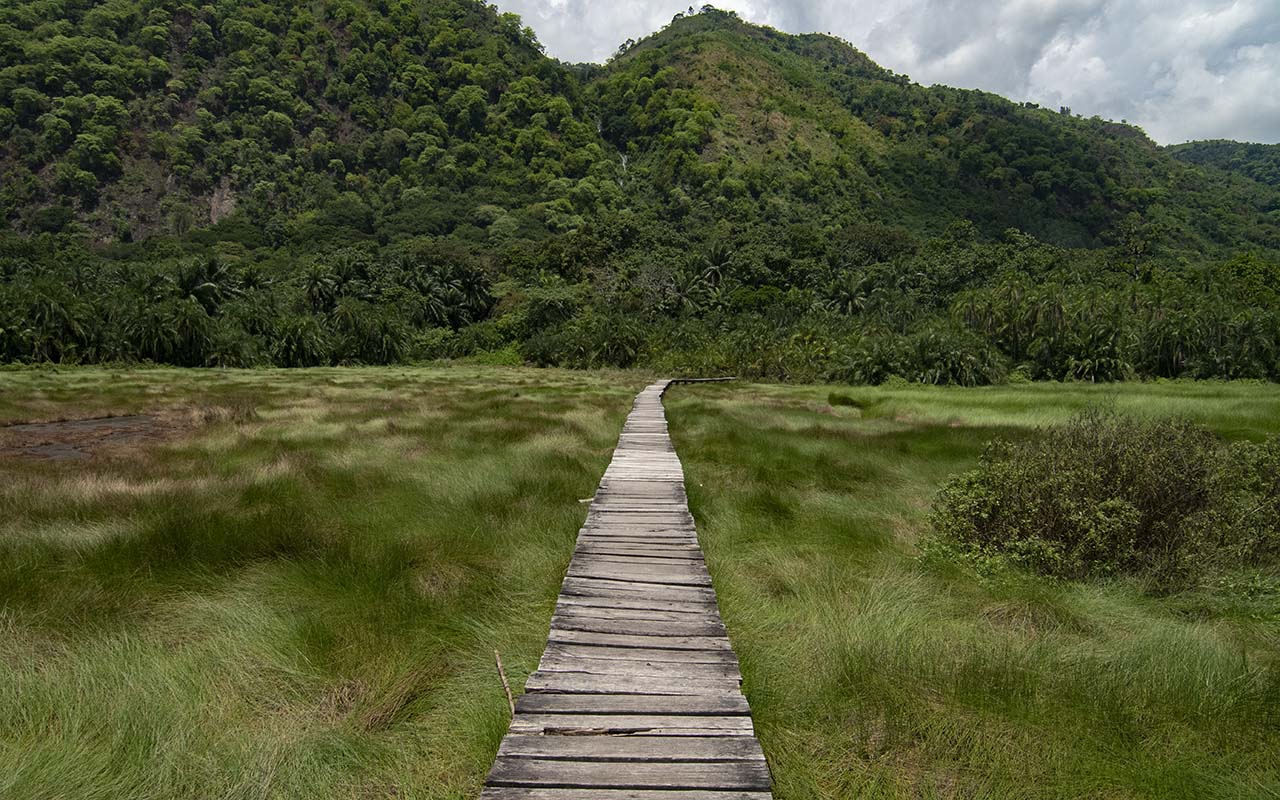 A Guide to Trekking and Hiking Expereince in Uganda