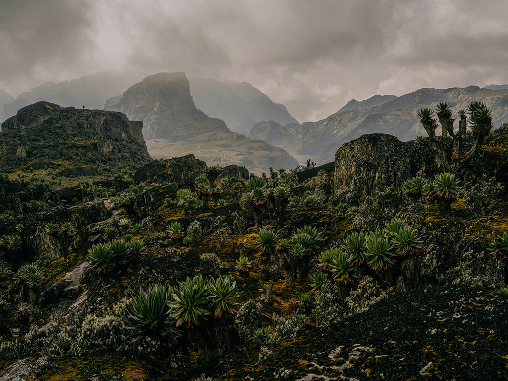 Hiking Guide to Rwenzori Mountain Ranges