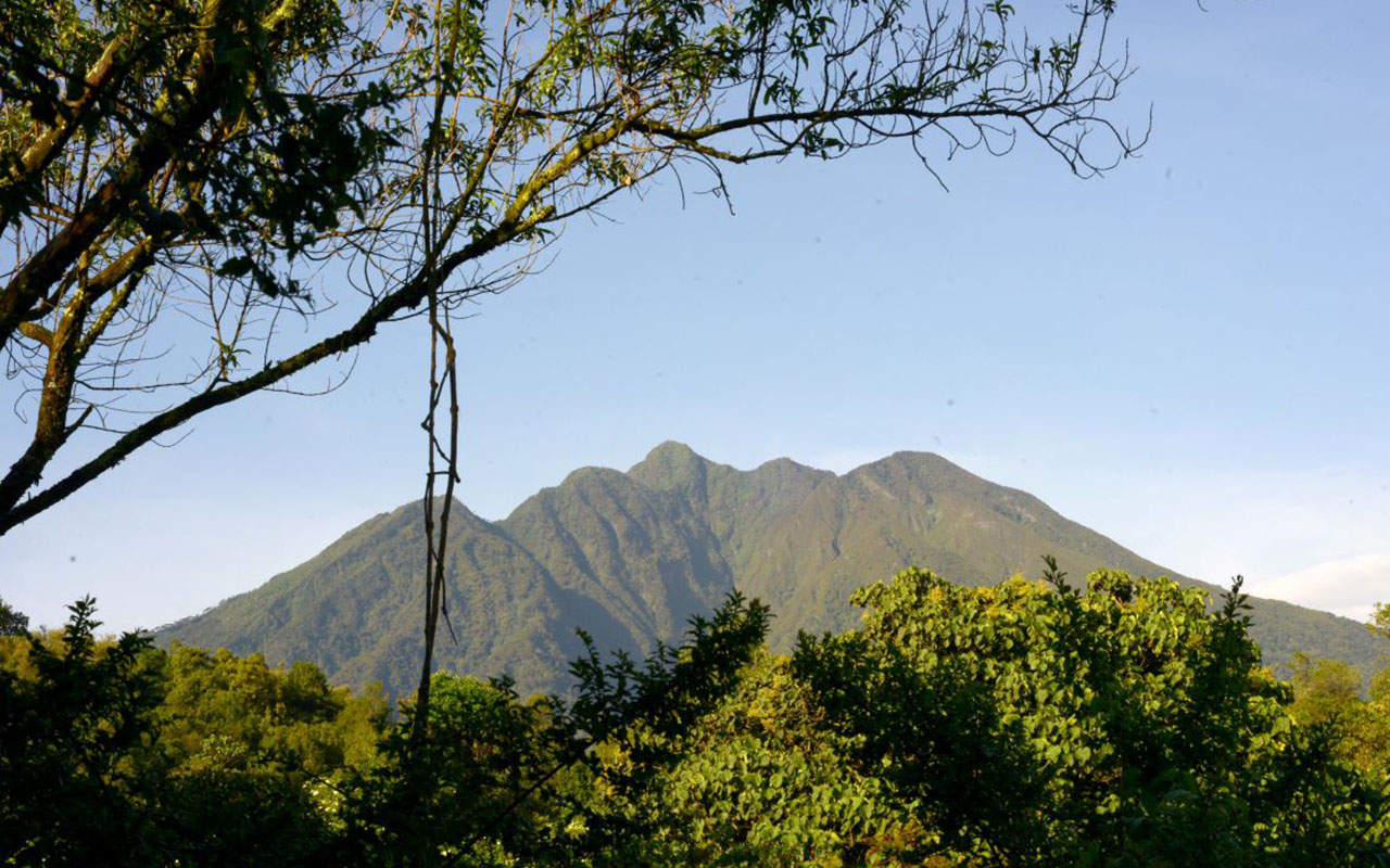 Hiking at Mgahinga Gorilla National Park