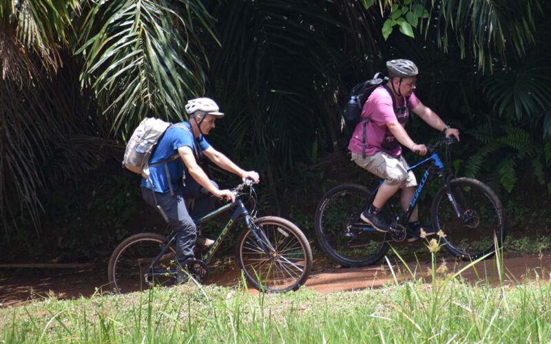 Cycling tours