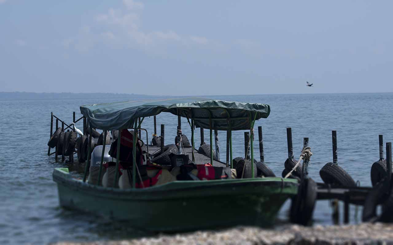 Discover and Explore Lake Victoria in Uganda
